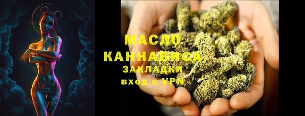 дмт Билибино