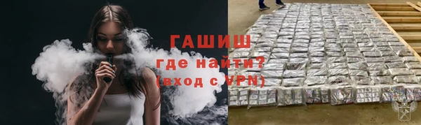 твердый Козельск