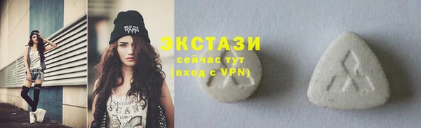 твердый Козельск