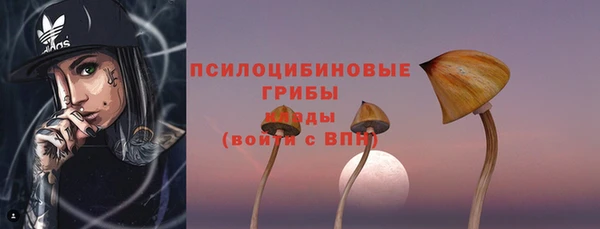твердый Козельск