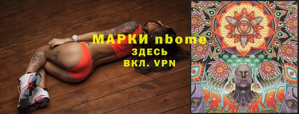 твердый Козельск