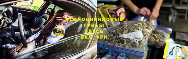 твердый Козельск