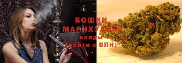 гидра Краснослободск