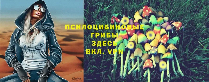 Галлюциногенные грибы Psilocybine cubensis  сколько стоит  Ковдор 