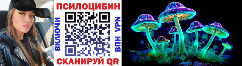 OMG как войти  Ковдор  Псилоцибиновые грибы Magic Shrooms 